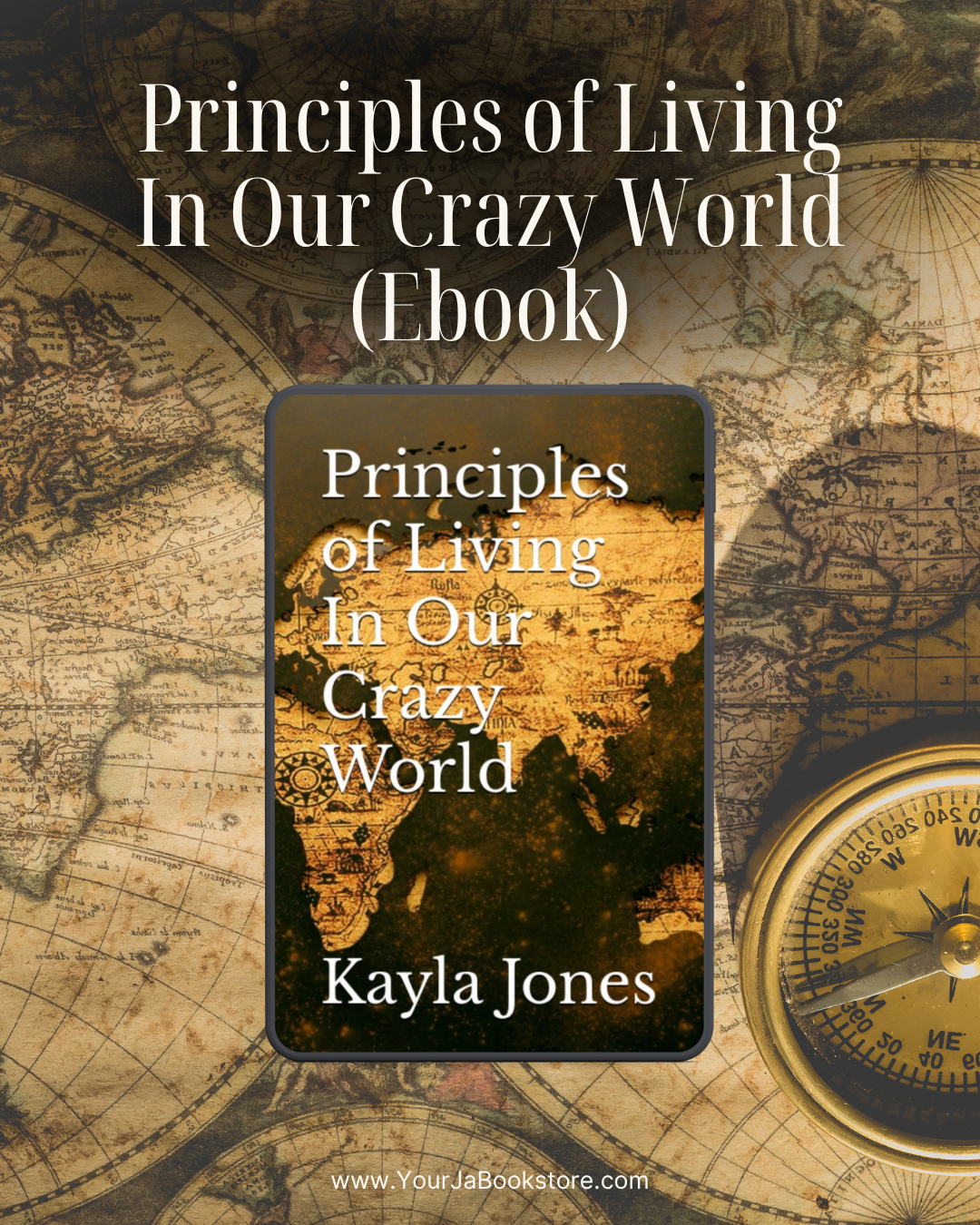 Principles of Living In Our Crazy World (Ebook)