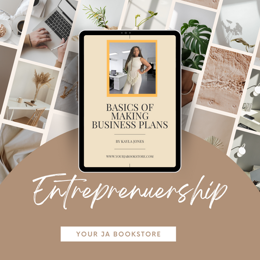 The Basics of Making a Business Plan (Ebook)