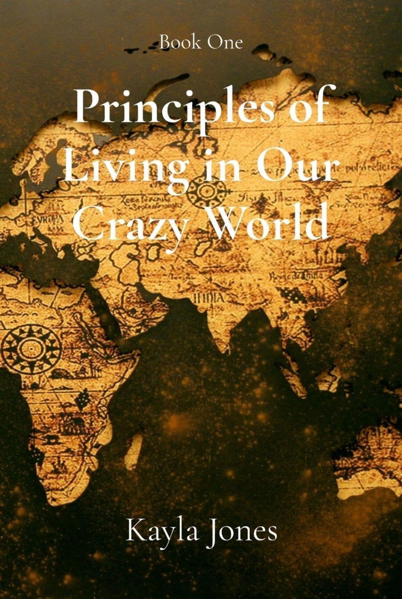 Principle of Living in Our Crazy World