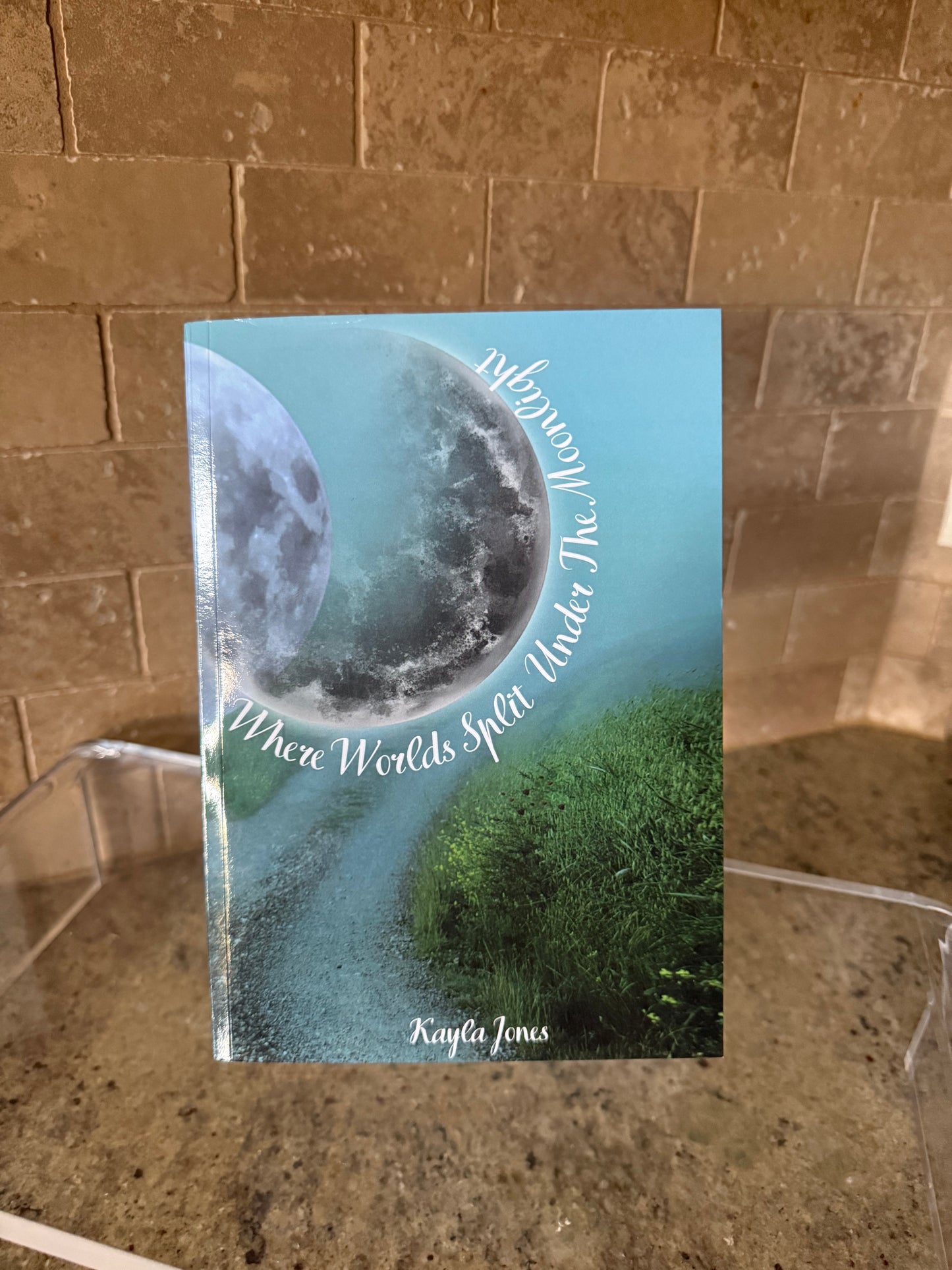 Where Worlds Split Under The Moonlight